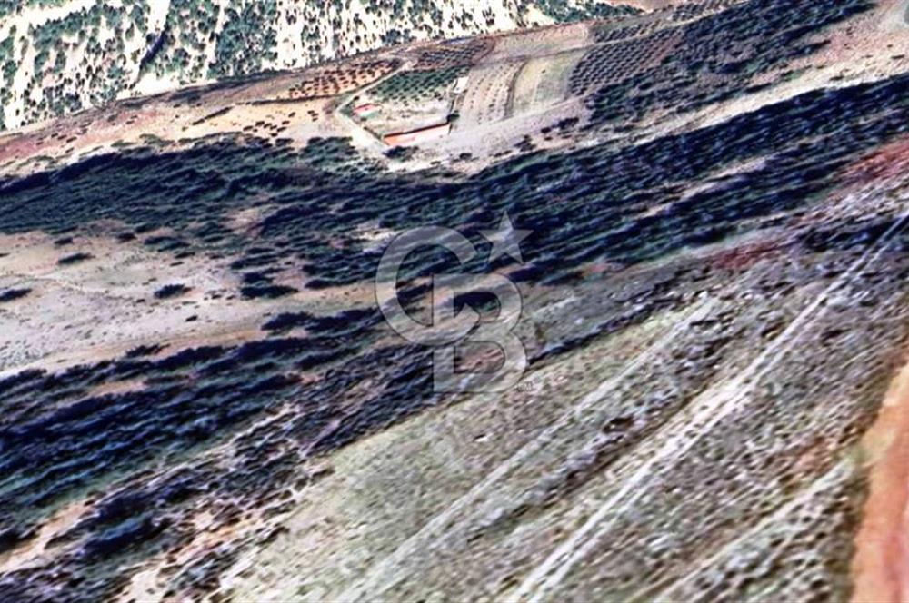 HATAY İSKENDERUN CIRTIMAN'DA SATILIK TARLA