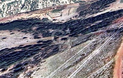 HATAY İSKENDERUN CIRTIMAN'DA SATILIK TARLA