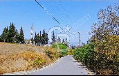 Başiskele Servetiye 21000m2 Satılık Müstakil Tapulu