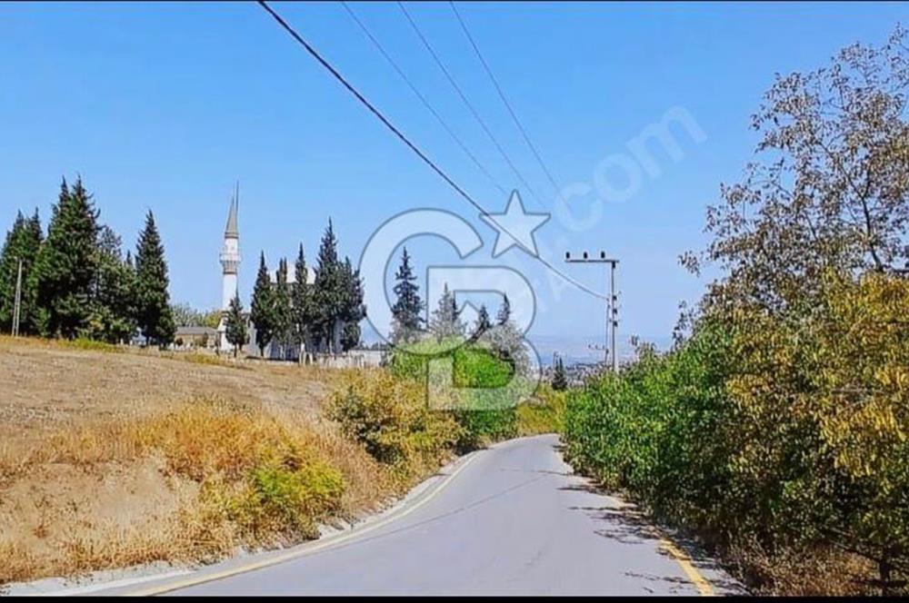 Başiskele Servetiye 21000m2 Satılık Müstakil Tapulu