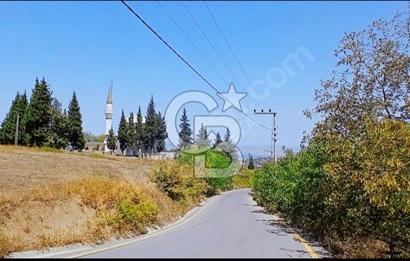 Başiskele Servetiye 21000m2 Satılık Müstakil Tapulu