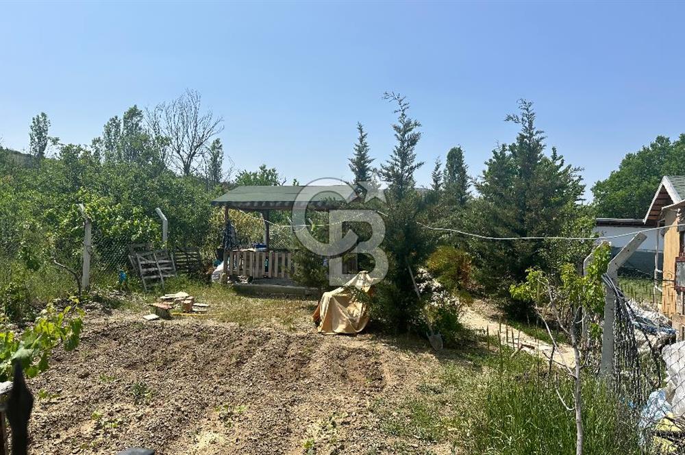 ANKARA ELMADAĞ SATILIK BAHÇE 