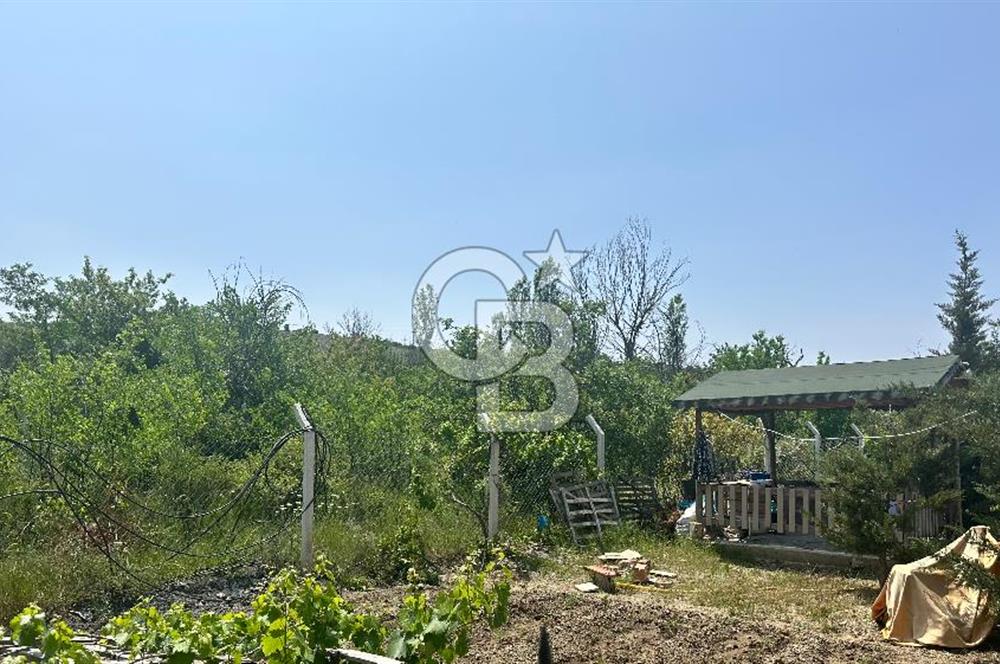 ANKARA ELMADAĞ SATILIK BAHÇE 