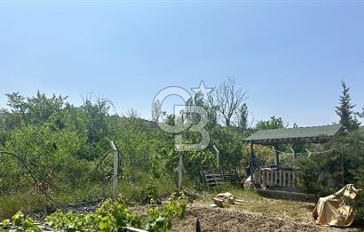ANKARA ELMADAĞ SATILIK BAHÇE 