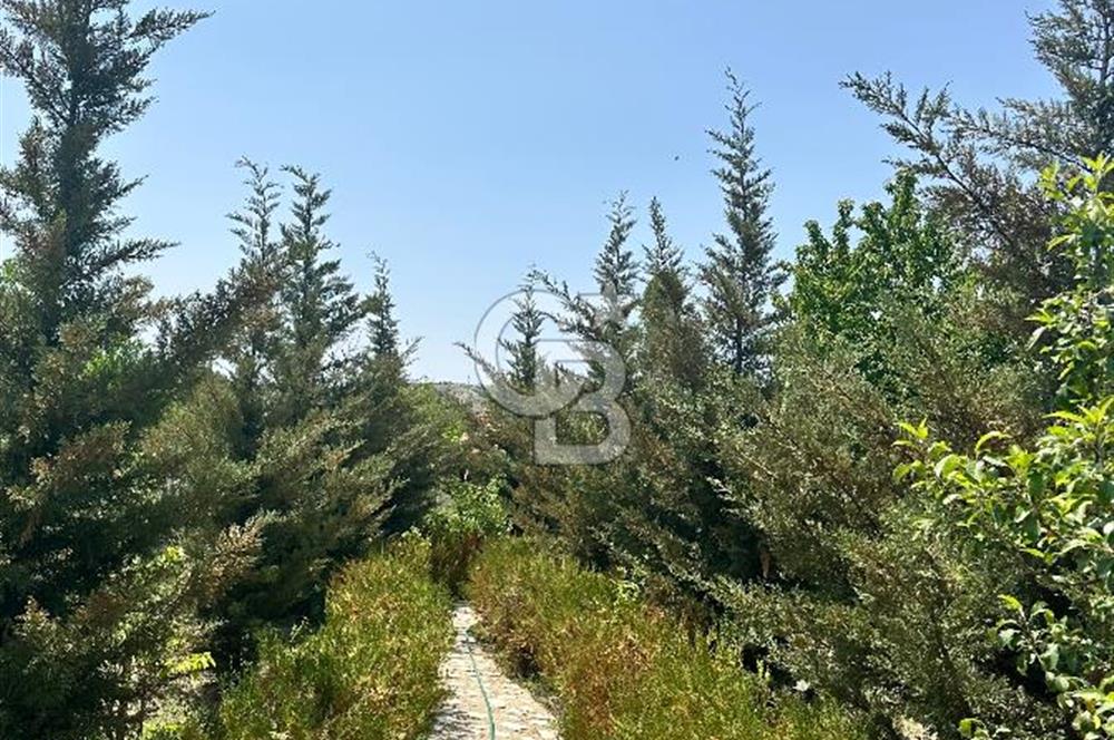 ANKARA ELMADAĞ SATILIK BAHÇE 