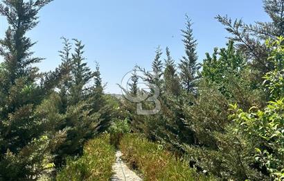 ANKARA ELMADAĞ SATILIK BAHÇE 