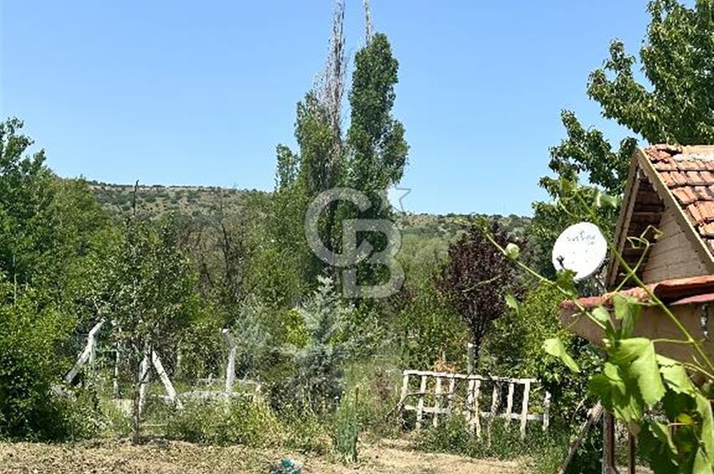 ANKARA ELMADAĞ SATILIK BAHÇE 