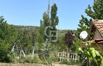 ANKARA ELMADAĞ SATILIK BAHÇE 