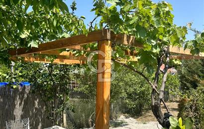 ANKARA ELMADAĞ SATILIK BAHÇE 