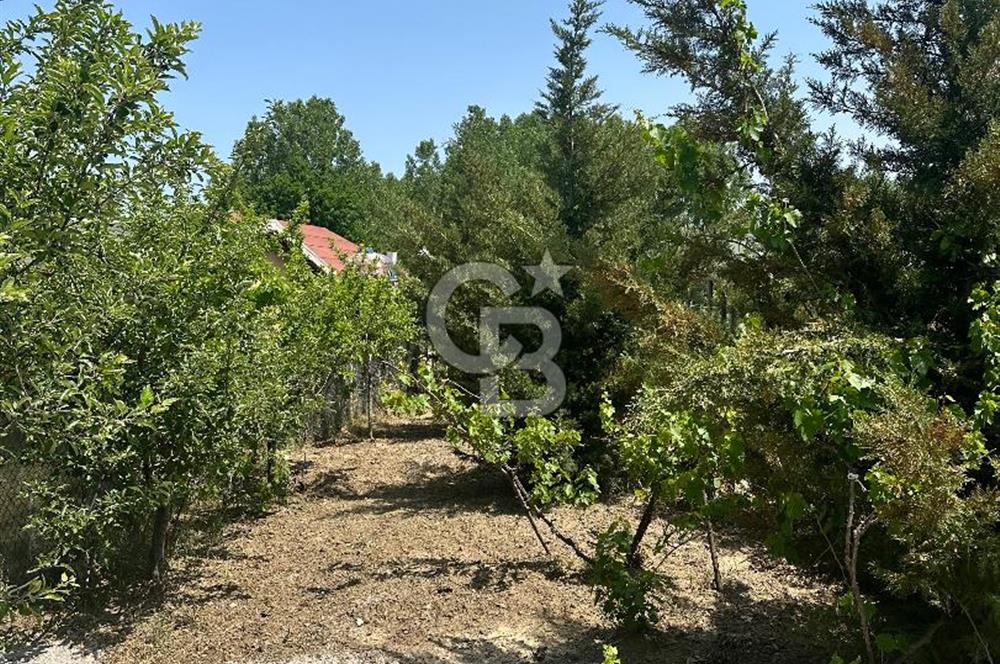 ANKARA ELMADAĞ SATILIK BAHÇE 