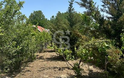 ANKARA ELMADAĞ SATILIK BAHÇE 
