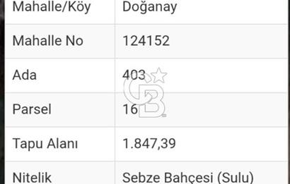 KIRIKKALE KIZIL IRMAĞA SIFIR ANA YOLA ÇOK YAKIN 1848 M2 BAHÇE