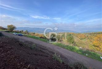 CB BLACK'TAN OSMANGAZİ SELÇUKGAZİ'DE SATILIK TARLA* - 4 - 330135