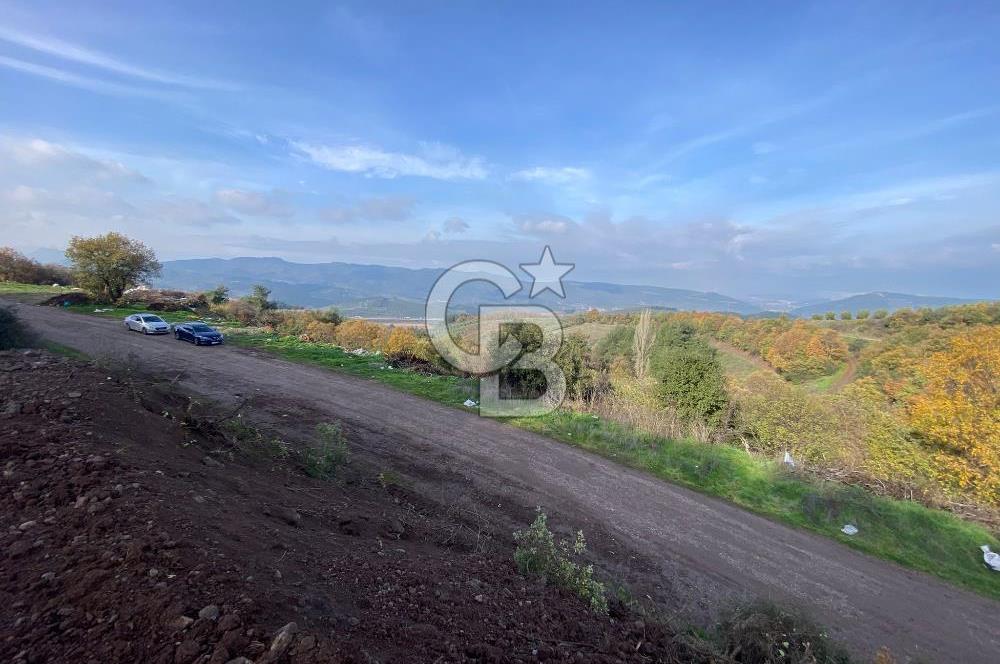 CB BLACK'TAN OSMANGAZİ SELÇUKGAZİ'DE SATILIK TARLA*