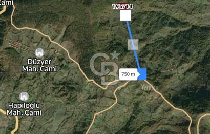 Bartın İli Ulus İlçesi Akörensöküler Köyü’nde Satılık Tarla