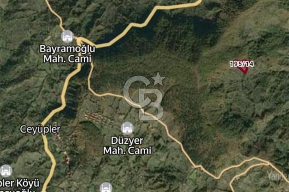 Bartın İli Ulus İlçesi Akörensöküler Köyü’nde Satılık Tarla