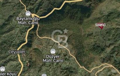 Bartın İli Ulus İlçesi Akörensöküler Köyü’nde Satılık Tarla