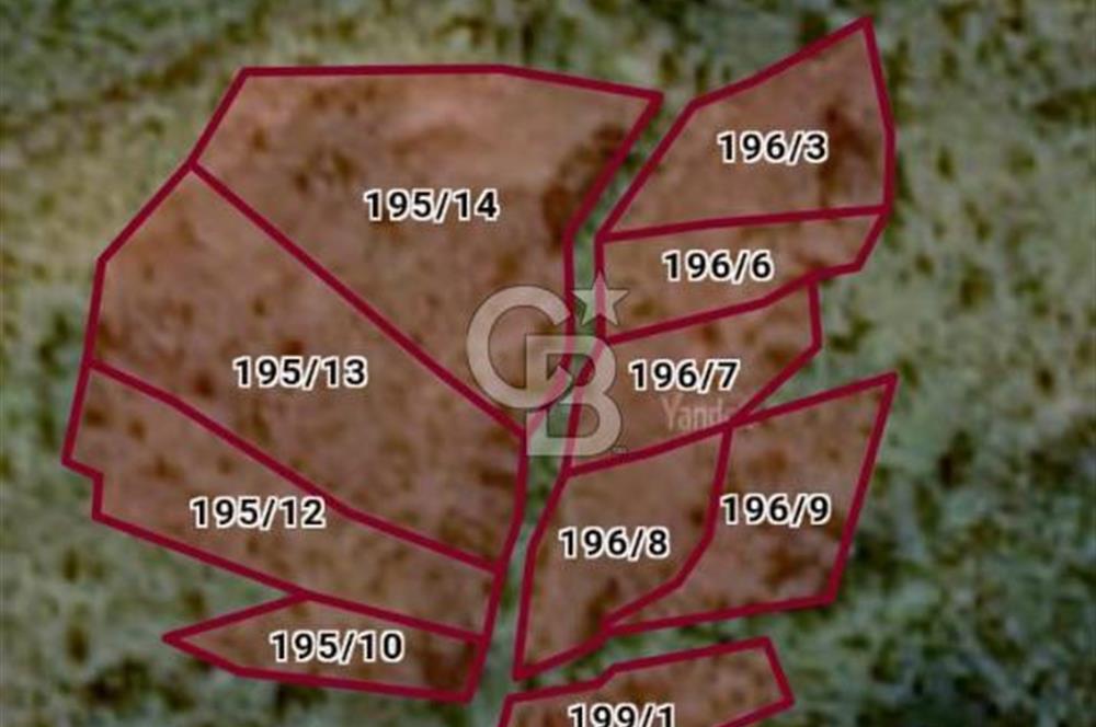 Bartın İli Ulus İlçesi Akörensöküler Köyü’nde Satılık Tarla