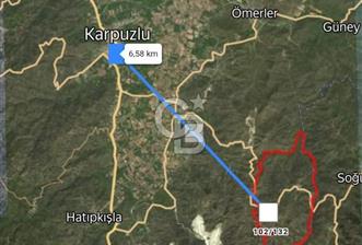 Aydın İli Karpuzlu İlçesi Dalip Köyü Zeytinlik Satış İlanı - 3 - 330072