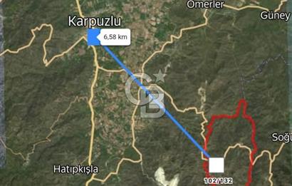 Aydın İli Karpuzlu İlçesi Dalip Köyü Zeytinlik Satış İlanı