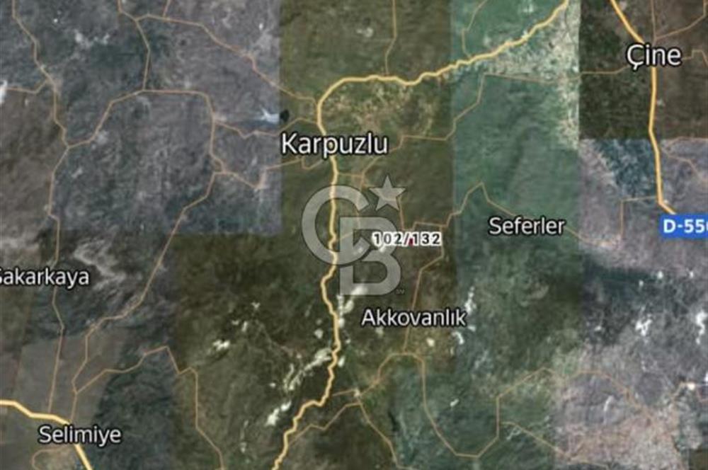 Aydın İli Karpuzlu İlçesi Dalip Köyü Zeytinlik Satış İlanı