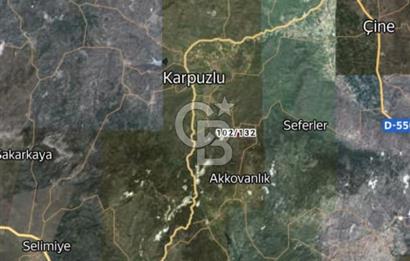 Aydın İli Karpuzlu İlçesi Dalip Köyü Zeytinlik Satış İlanı