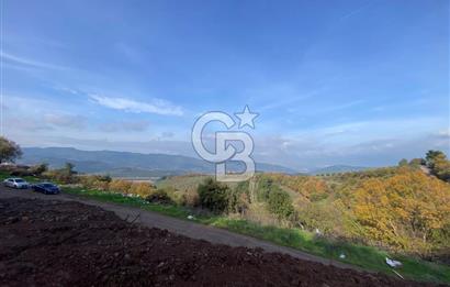 CB BLACK'TAN OSMANGAZİ SELÇUKGAZİ'DE SATILIK TARLA*