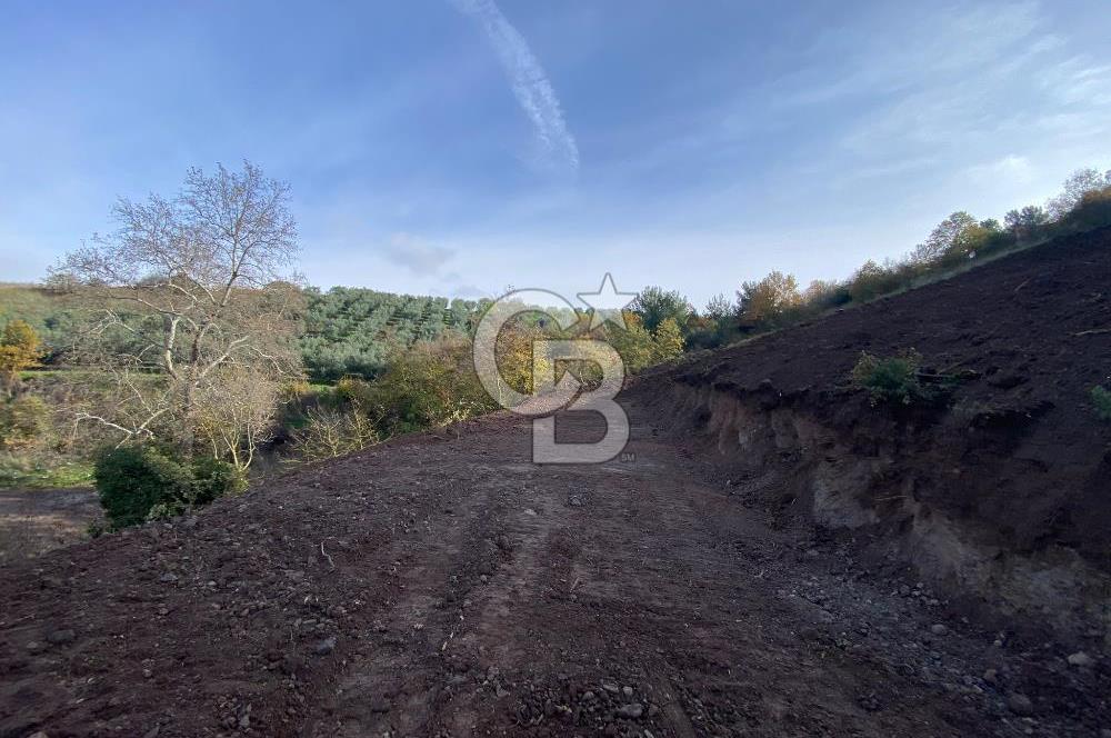 CB BLACK'TAN OSMANGAZİ SELÇUKGAZİ'DE SATILIK TARLA*