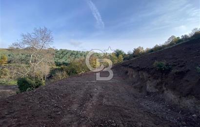 CB BLACK'TAN OSMANGAZİ SELÇUKGAZİ'DE SATILIK TARLA*