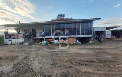 Dazkırı-Bozan Köyünde 6+1 Satılık Konut, Besihane ve Müştemilatı