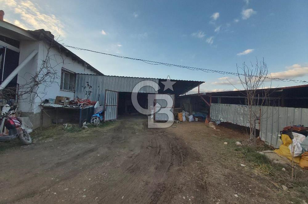 Dazkırı-Bozan Köyünde 6+1 Satılık Konut, Besihane ve Müştemilatı