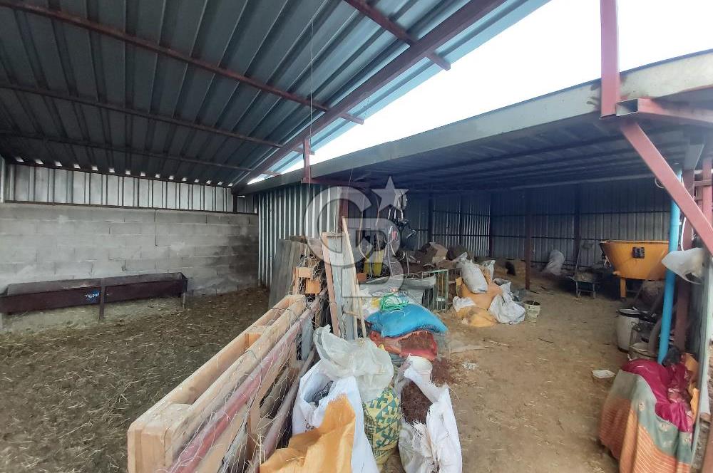 Dazkırı-Bozan Köyünde 6+1 Satılık Konut, Besihane ve Müştemilatı