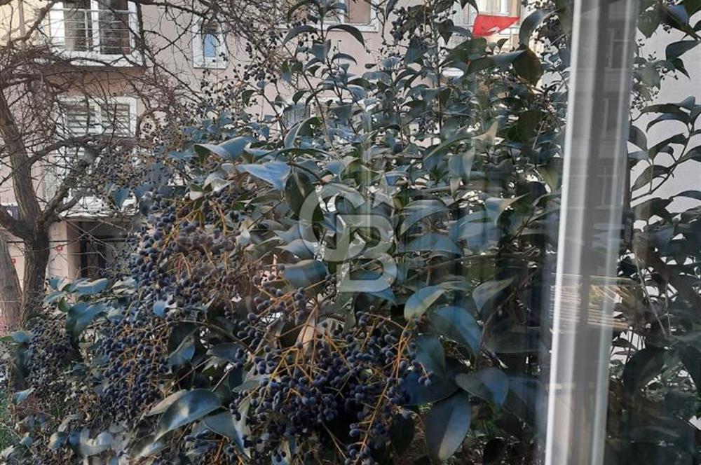 SARIYER MERKEZ, 300M2 TRİPLEKS, DENİZE 300M MESAFEDE KİRALIK BİNA