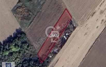 CB BLACK'TEN HARMANLI YATIRIMLIK TARLA