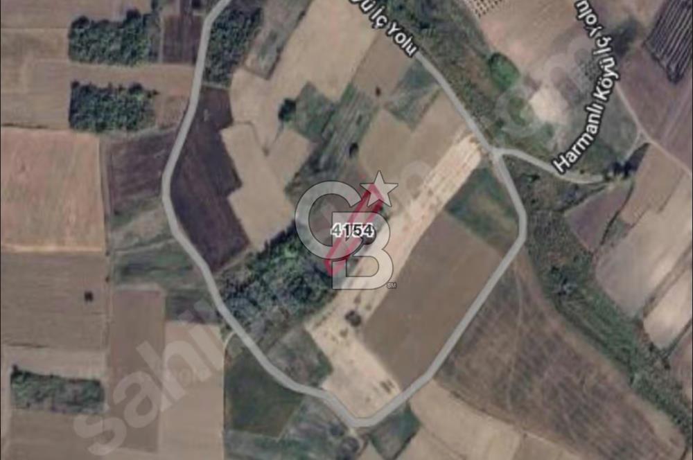 CB BLACK'TEN HARMANLI YATIRIMLIK TARLA