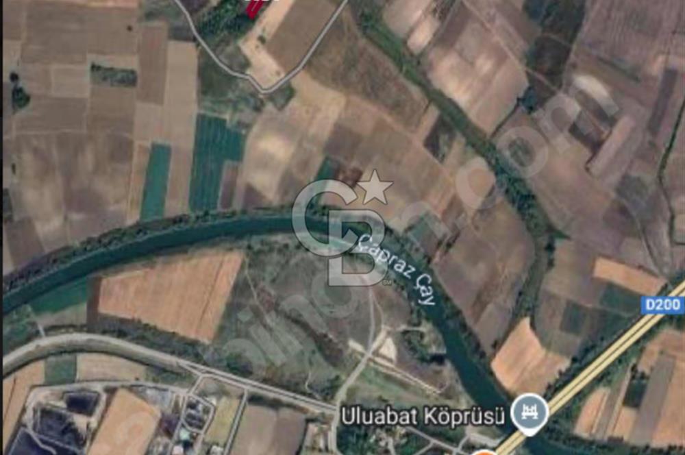 CB BLACK'TEN HARMANLI YATIRIMLIK TARLA