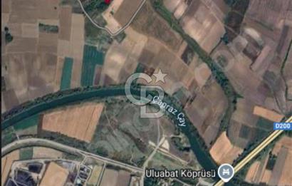 CB BLACK'TEN HARMANLI YATIRIMLIK TARLA