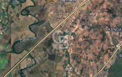 CB BLACK'TEN HARMANLI YATIRIMLIK TARLA