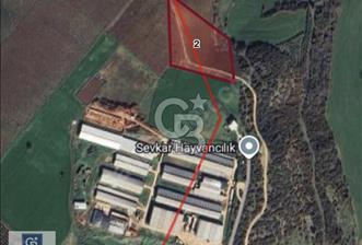 CB BLACK'TEN KARACABEY ÇİFTLİK TESİSİ YANINDA YOLA PARSEL TARLA - 1 - 330166