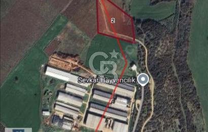 CB BLACK'TEN KARACABEY ÇİFTLİK TESİSİ YANINDA YOLA PARSEL TARLA