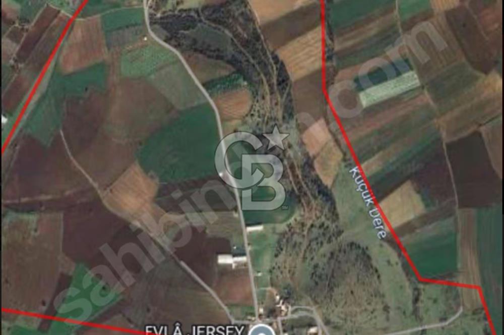 CB BLACK'TEN KARACABEY ÇİFTLİK TESİSİ YANINDA YOLA PARSEL TARLA