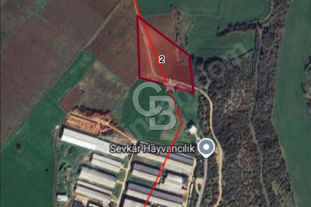 CB BLACK'TEN KARACABEY ÇİFTLİK TESİSİ YANINDA YOLA PARSEL TARLA