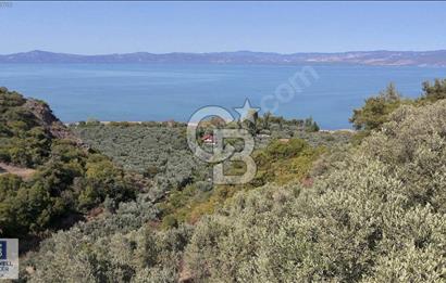 CB BLACK'TEN İZNİK GÖLLÜCE'DE SATILIK GÖL MANZARALI TARLA