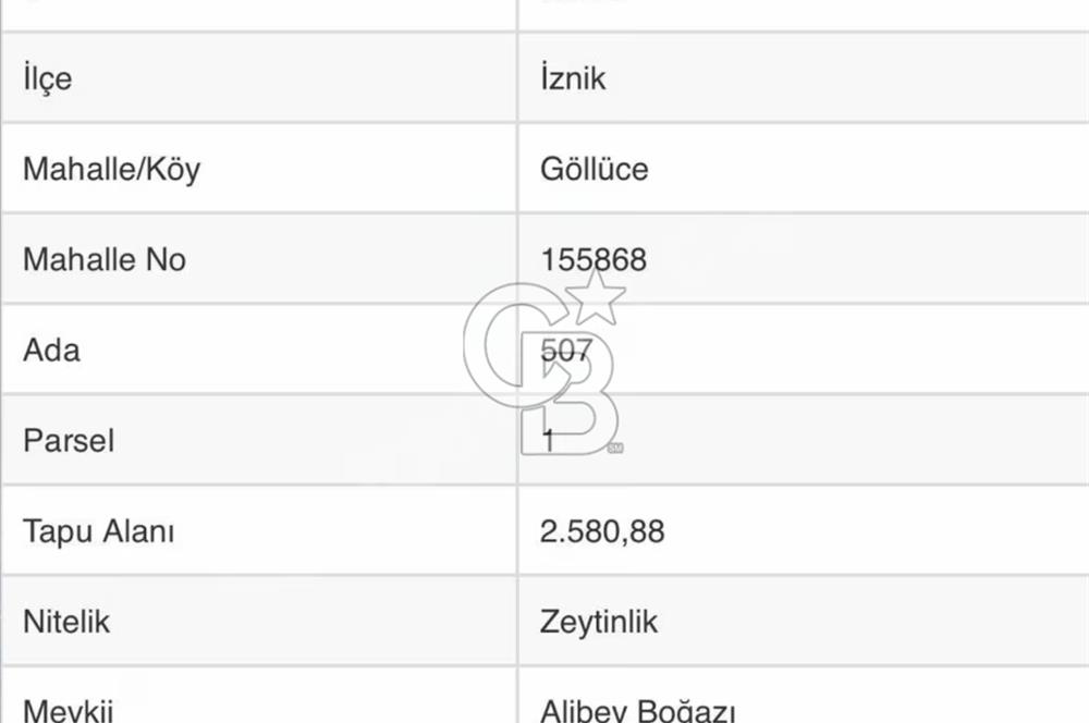 CB BLACK'TEN İZNİK GÖLLÜCE'DE SATILIK GÖL MANZARALI TARLA
