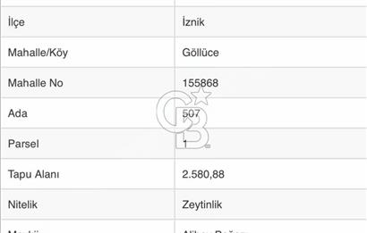 CB BLACK'TEN İZNİK GÖLLÜCE'DE SATILIK GÖL MANZARALI TARLA