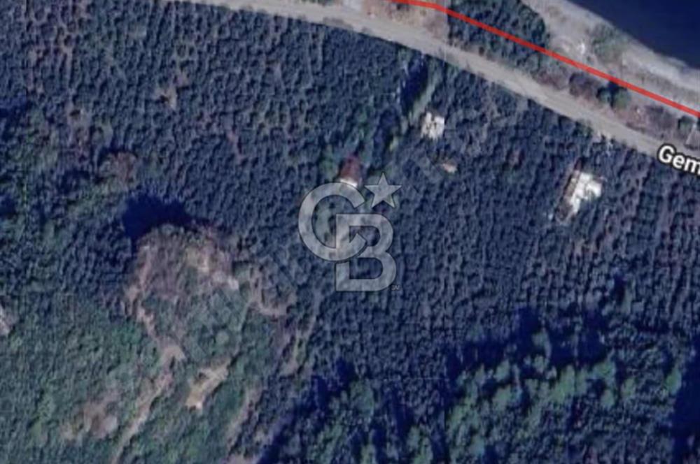 CB BLACK'TEN İZNİK GÖLLÜCE'DE SATILIK GÖL MANZARALI TARLA