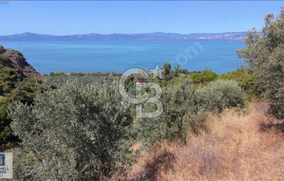 CB BLACK'TEN İZNİK GÖLLÜCE'DE SATILIK GÖL MANZARALI TARLA