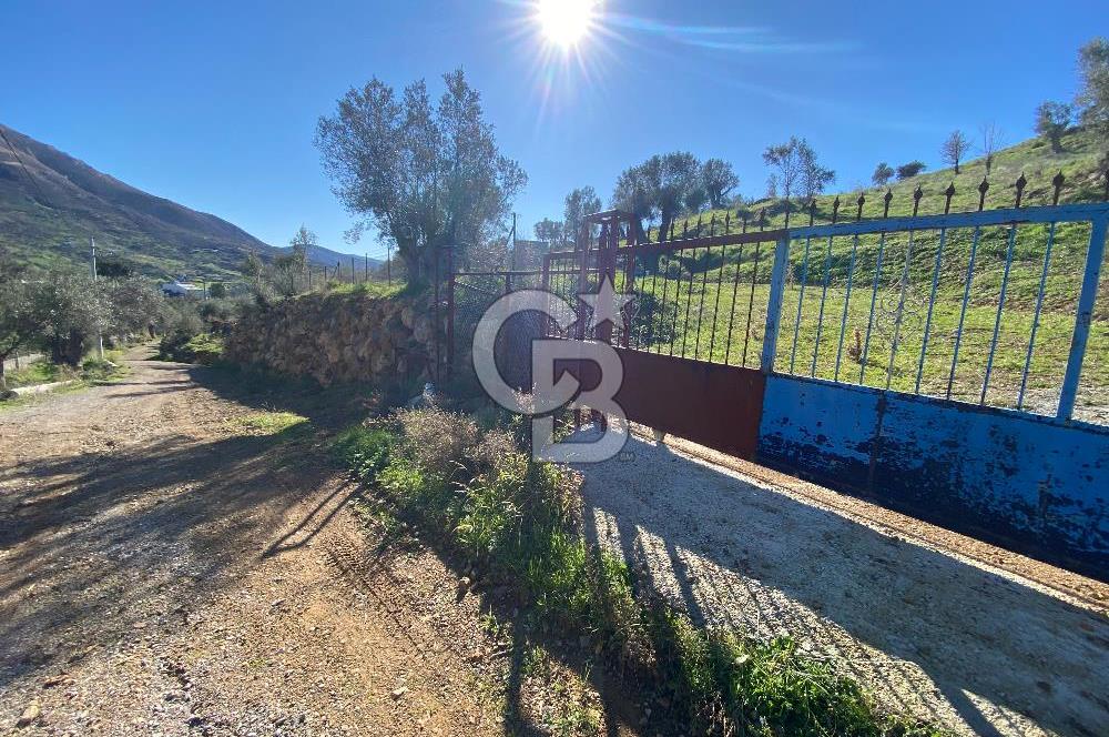 Orhanlı’da Elektrik-Su-Yolu olan Müstakil 11 Dönüm