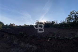 CB BLACK'TAN OSMANGAZİ SELÇUKGAZİ'DE SATILIK TARLA* - 3 - 330138