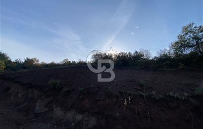 CB BLACK'TAN OSMANGAZİ SELÇUKGAZİ'DE SATILIK TARLA*